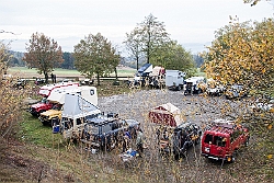 Heiligenholz im Herbst