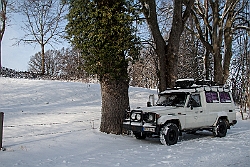 Ausflug nach Neuschwanstein